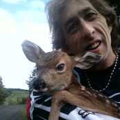 even bambi comes to me now it's your turn to cum