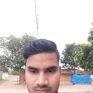 dineshkumar803