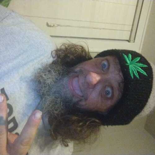 cannabis979