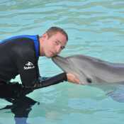 Dolphin loves to play