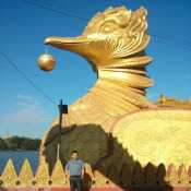 i am myanmar