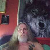 wolf2014