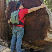 Something about girthy.... Trees. Fascinating. Also, I loved redwood national Park