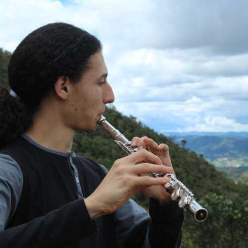 flautist17nn
