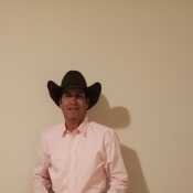 cowboyhor071