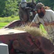 Yup it’s me making hay ..wanna roll in it ? 