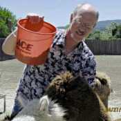 Feeding the sisters Alpacas.