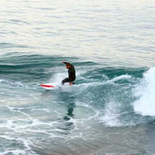 surfysurfer