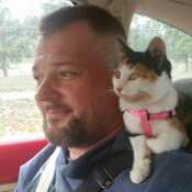 me and my kitty on a roadtrip