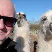 At my mates Llama farm