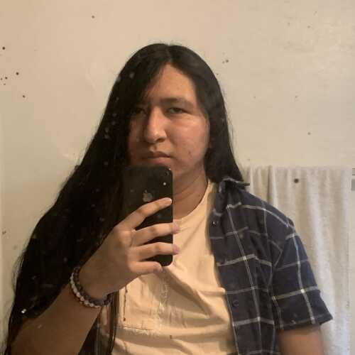 LonghairCub