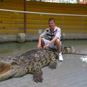 Thailand 2014 and yes that crocodile is very real lol