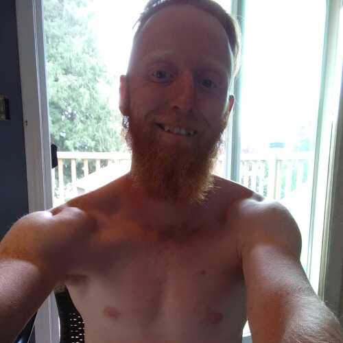 Gingercock9508